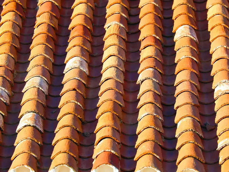 Close-up of overlapping orange clay roof tiles in warm sunlight